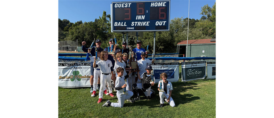 2025 MVLL Minors Champions - Tigers